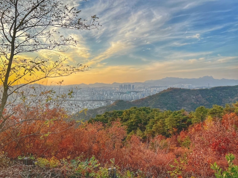 img alt="autumn"